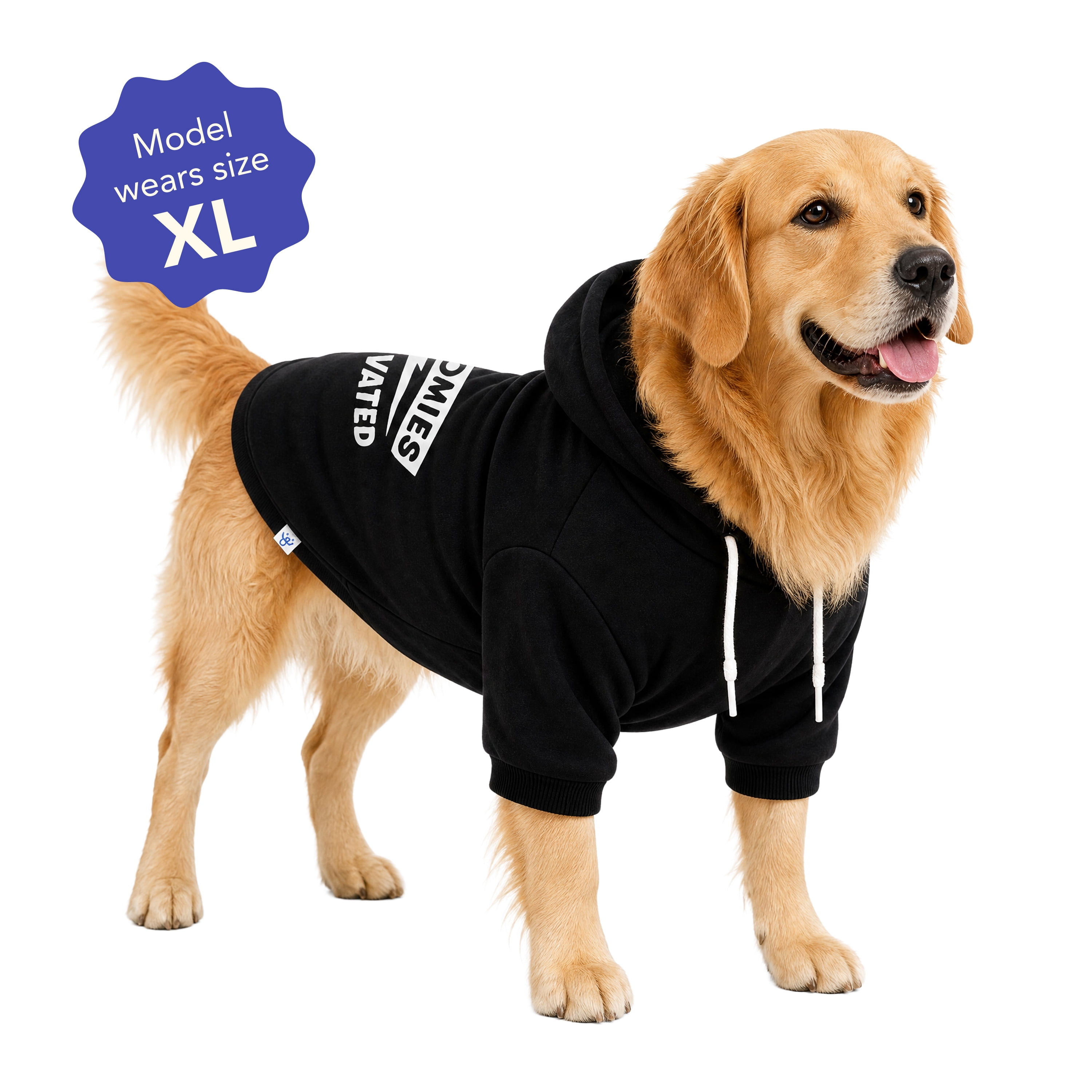 Oodles Zoomies Activated Fall Dog Hoodie, Black, XL