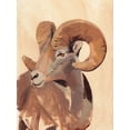 thumbnail image 2 of Green, Jacob 12x14 White Modern Wood Framed Museum Art Print Titled - Ochre Ram II, 2 of 4