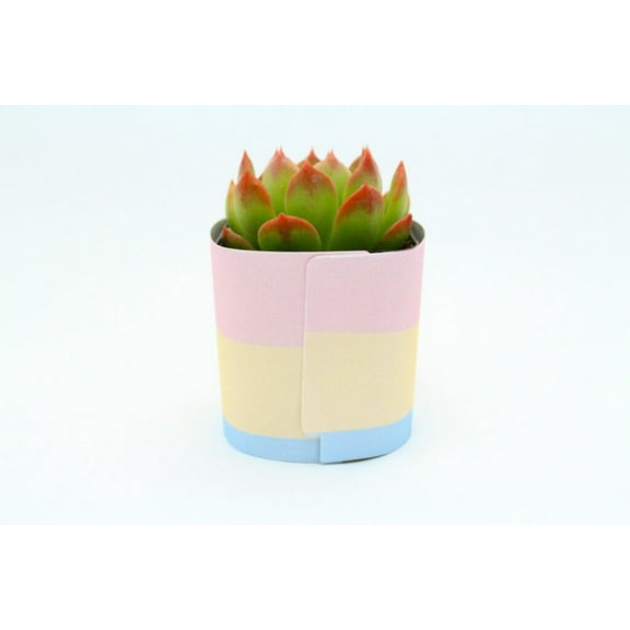 Plants Of Joy Rainbow Print Succulent Wraps for Weddings, Baby Shower, and Party Favors. 25 Count Pack.