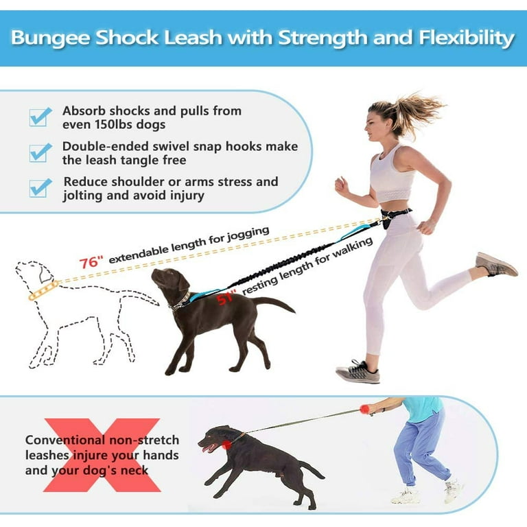 Different Types of Dog Leashes: How To Pick The Best Dog Training Leash?