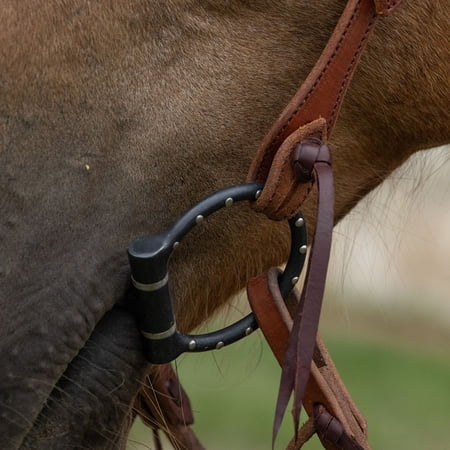 Cowboy Tack Lifesaver Dee Ring Snaffle Bit with Dots