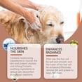 thumbnail image 4 of 4pcs Shampoo For Dogs Gently Cleans Pet Hair Soft Care Shampoo For Dogs, 4 of 5