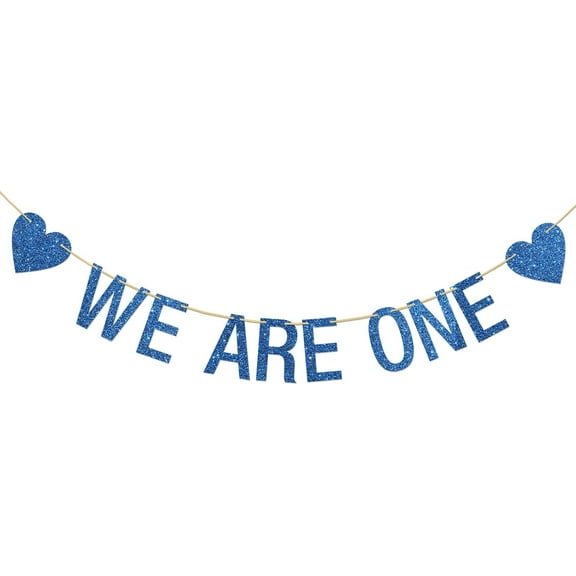 We are One Banner,Twins' First Birthday Party Decorations,Boy's and Girl's 1st Birthday Banner Hanging Supplies