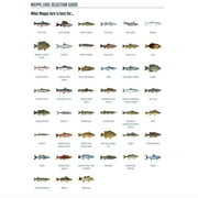 Mepps Comet Rainbow Trout Mino Inline Spinner, 1/6 oz, Silver Blade