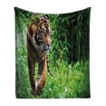 thumbnail image 1 of Tiger Soft Flannel Fleece Blanket, Siberian Large Feline at Zoo Wildlife at Captivity Unnatural Habitat Agressive Animal, Cozy Plush for Indoor and Outdoor Use, 70" x 90", Multicolor, by Ambesonne, 1 of 6