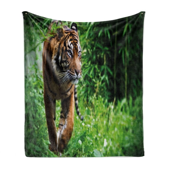 Tiger Soft Flannel Fleece Blanket, Siberian Large Feline at Zoo Wildlife at Captivity Unnatural Habitat Agressive Animal, Cozy Plush for Indoor and Outdoor Use, 70" x 90", Multicolor, by Ambesonne