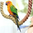 NLLSHGJ Parrot Climbing Rope Bird Stand Hanging Birds Supplies Bird