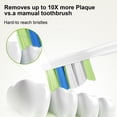 thumbnail image 2 of Cabezales de cepillo de dientes GottaShine para Philips Sonicare, paquete de 12, 2 of 7