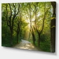 thumbnail image 2 of Designart 'Evening in Green Forest ' Landscape Canvas Art Print, 2 of 3