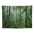 thumbnail image 5 of Shiartex Jungle Tapestry Wall Hanging, Green Forest Tapestries Backdrop, Rainforest Nature Landscape Tapestry Wall Art Hanging Background, Nature Scenery Misty Tapestry for Bedroom 40x30inch, 5 of 6