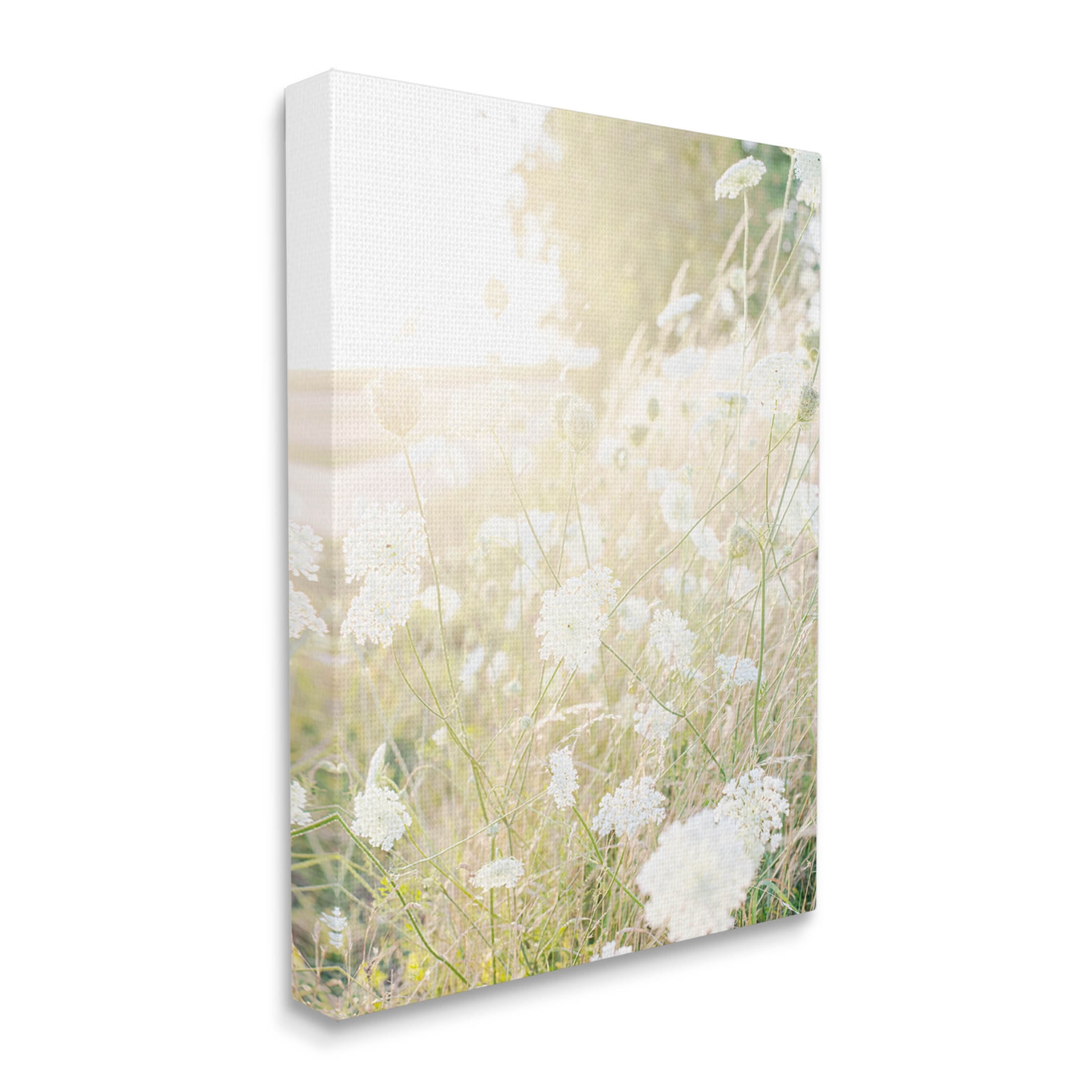 Sunlit Meadow Blooming Wildflowers Landscape Photograph Gallery Wrapped Canvas Print Wall Art