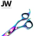 thumbnail image 4 of JW CF Rainbow Series, 4 of 5