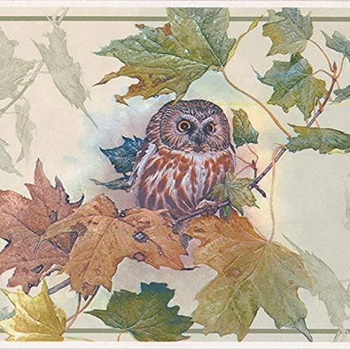 Concord Wallcoverings Wallpaper Border Nature Pattern Owl Leaves for Living Room Bedroom Cottage Farmhouse, Light Green Red Orange Yellow Blue, 7 Inches by 15 Feet GL76353