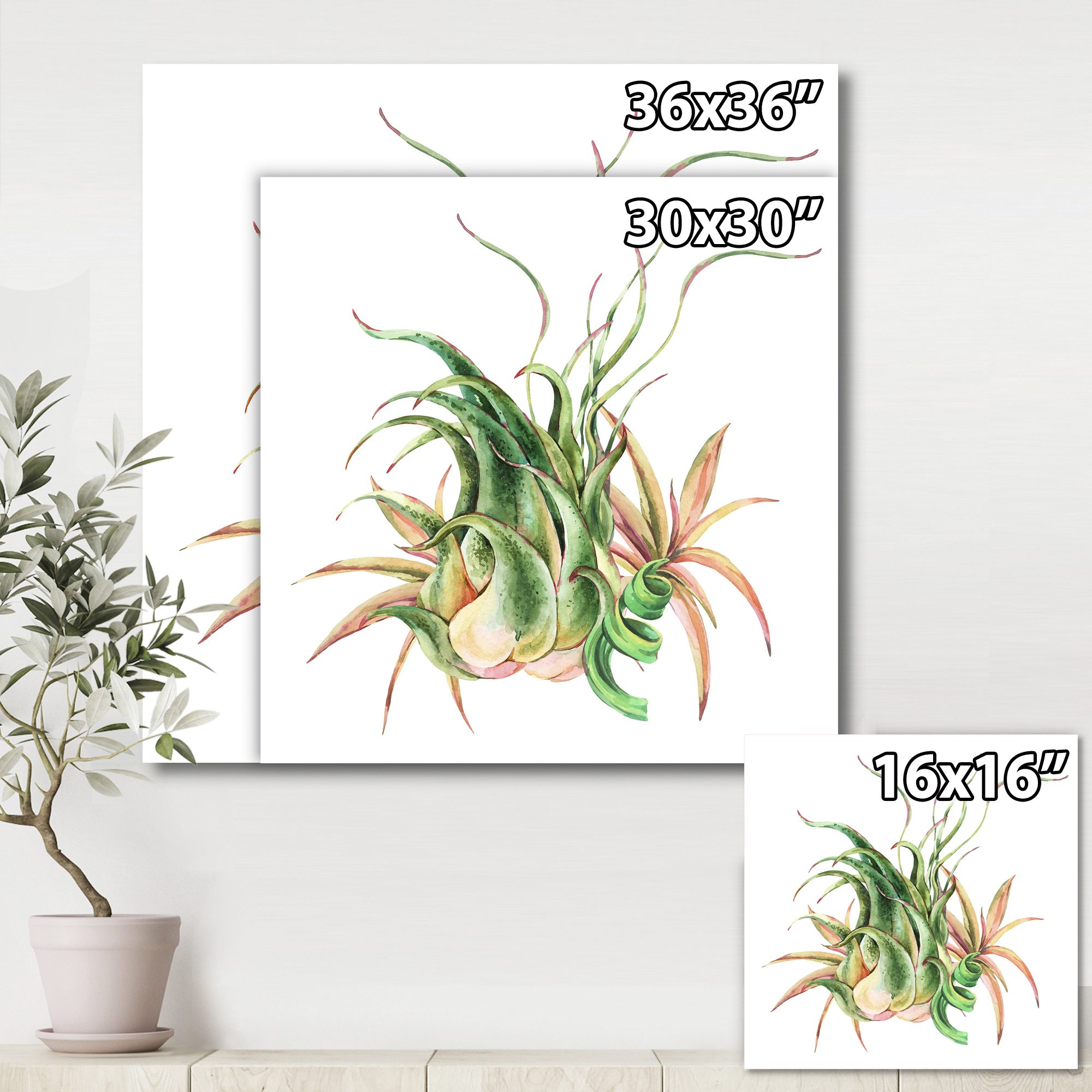 Tropical Leaves Air Plant Succulent On White 30 in x 30 in Painting Canvas Art Print, by Designart