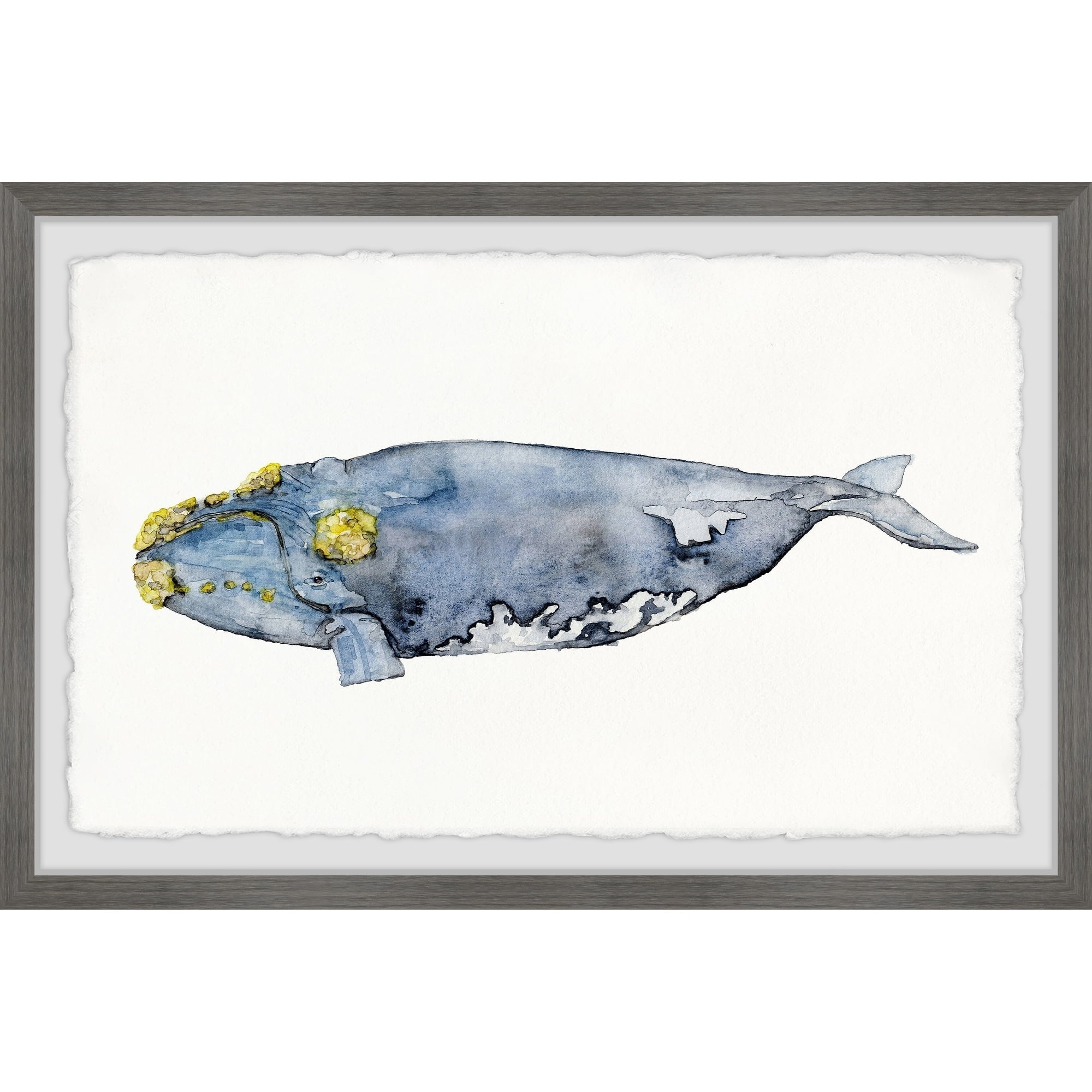 Marmont Hill Mossed Whale by Rachel Byler Framed Wall Art