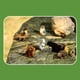 thumbnail image 5 of Figuras De Gnomos De Jardín De Hadas, Paisaje De Jardín De Resina En Miniatura, Estatuas De Enanos De Hadas, Adornos, Decoración De Césped matsuzay HA037080-00, 5 of 6