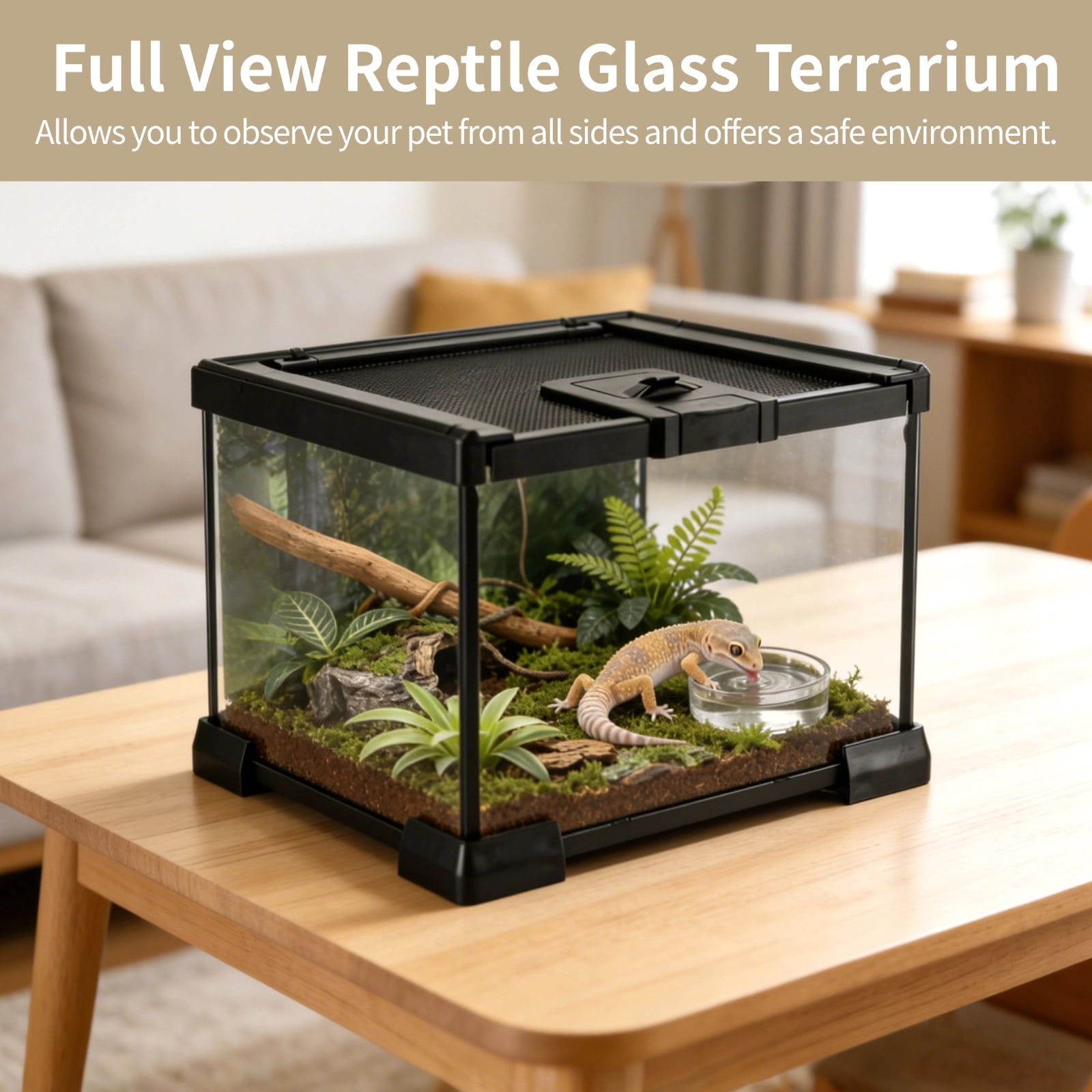 Mini Reptile Glass Terrarium 7.9 x 7.9 x 5.7", Full View Rainforest Vivarium Tank, Stackable Amphibian Enclosure Cage for Turtles, Geckos, Frogs, Hermit Crabs, No Installation Needed