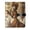 Brass Lady, variant on DIY Zebra Foal Printed Microfiber Leather Notebook 9.2x6.7" Refillable Binder Journal with Pen Loop&Pockets 100 Sheets