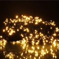 thumbnail image 1 of Luces navideñas 800 LED 100M ACTIVE IP44 Decorativas para interiores exteriores Ambiente romántico, 1 of 3