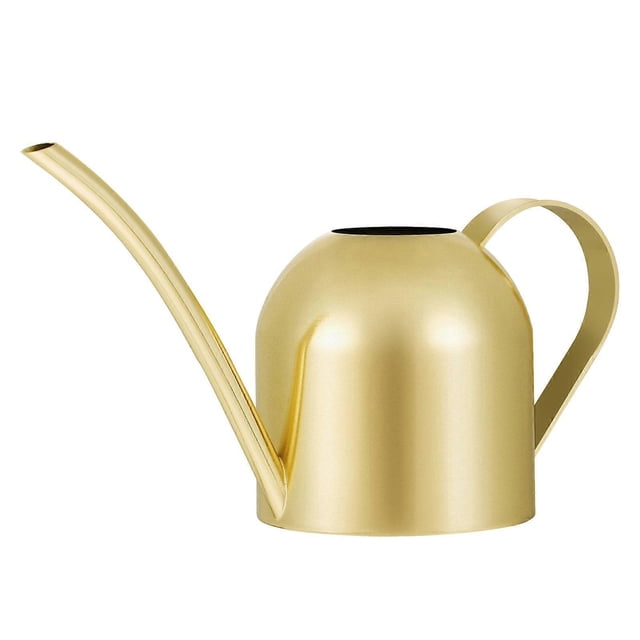 Watering Kettle 500Ml Golden Stainless Steel Tool For Flower Gardening 1Pack