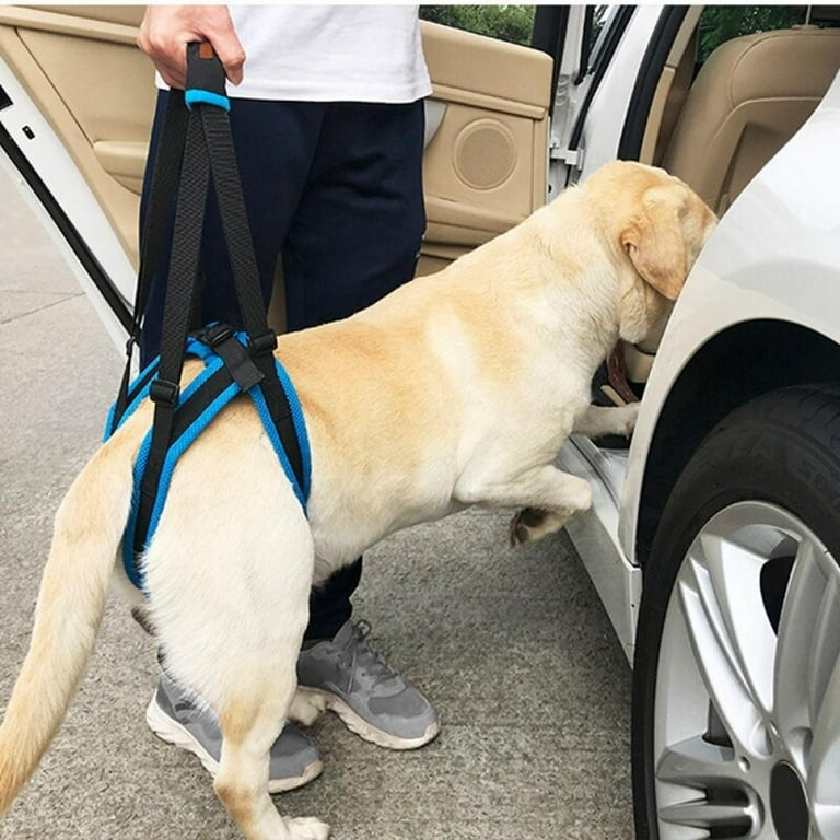 Dog harness for hotsell weak back legs