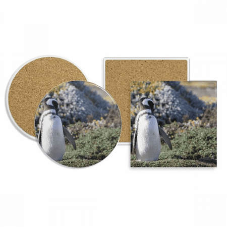 

Stand Southern Penguin SpheniscidaePicture Coaster Cup Mug Holder Absorbent Stone Cork Base Set