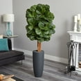 thumbnail image 3 of Nearly Natural 5.5ft. Fiddle Leaf Artificial Tree in Gray Cylinder Planter, Green, 3 of 3