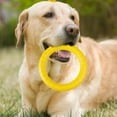 thumbnail image 4 of SPRING PARK Dog Training Ring Fitness Tool Flying EVA Interactive Pet Toy for Small Medium Large Dogs, 4 of 8