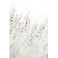 thumbnail image 2 of 1x Studio III 11x14 White Modern Wood Framed Museum Art Print Titled - Grass straws, 2 of 4