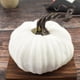 thumbnail image 1 of Calabazas de terciopelo de 7,9 pulgadas | Adornos otoñales de peluche supersuaves para Halloween y Acción de Gracias | Centro de mesa para el hogar, 1 of 2