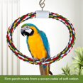 thumbnail image 3 of JW Swing N' Perch, Large, 3 of 6
