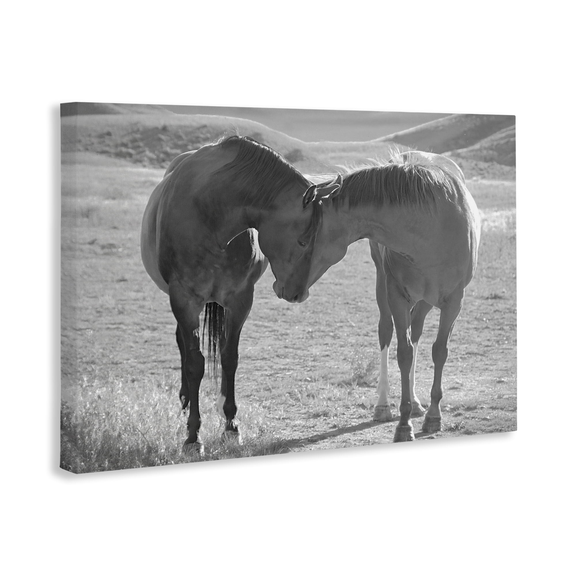 Stupell Industries Sweet Nothings Bond Between Horses Canvas Wall Art, design by Steve Toole