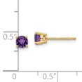 thumbnail image 3 of Primal Gold 14 Karat Yellow Gold 4mm Amethyst Earrings, 3 of 5