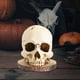 thumbnail image 2 of Estante Almacenamiento Cuchillos Soporte para Calavera Resina Fiesta Miedo Halloween, 2 of 9