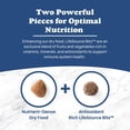 thumbnail image 5 of Blue Buffalo Life Protection Formula Senior Dry Dog Food Chicken & Brown Rice 5lb Bag, 5 of 11