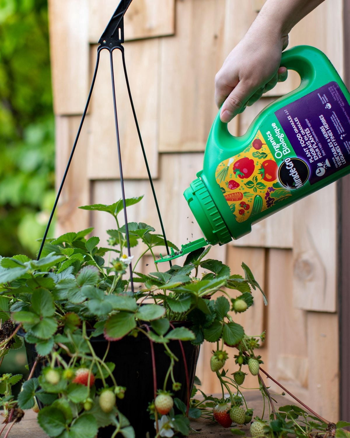 Miracle-Gro Organics Plant Food Granules 4-3-7 1.8kg