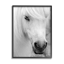 Elegant White Horse Stallion Animals & Insects Photograph Black Framed Art Print Wall Art