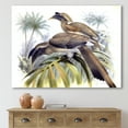 thumbnail image 2 of Designart ' Ancient Australian Birds XIV ' Traditional Canvas Wall Art Print, 2 of 4