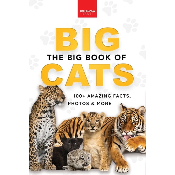 Animal Books for Kids The Big Book of Big Cats: Big Cat Facts: 100  Amazing Facts About Lions, Tigers, Leopards, Snow Leopards & Jaguars, Book 30, (Paperback)
