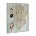thumbnail image 3 of Stupell Industries Detailed Coral & Seashells Animals Painting Wrapped Canvas Canvas Art Print Wall Art, 24 x 30, 3 of 7