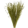 thumbnail image 2 of Vickerman 30" Basil Princess Grass. Comes in 21oz (3 -7oz Bundles), Dried, 2 of 6