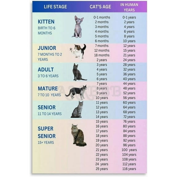 Cat Age to Human Age Guide Poster,How Old Is My Cat In Human Years Canvas Painting Wall Art Poster for Bedroom Living Room Decor