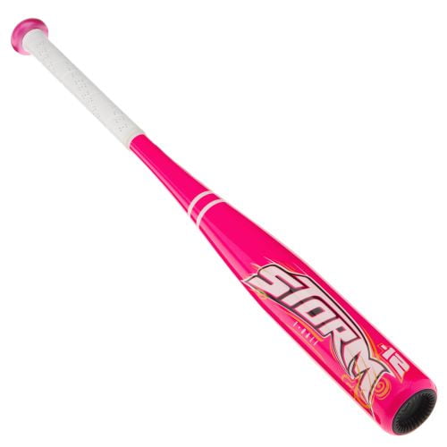 Worth Storm Baseball Bat, 24