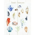 thumbnail image 2 of Swatland, Sally 20x24 White Modern Wood Framed Museum Art Print Titled - Beach Treasures, 2 of 4