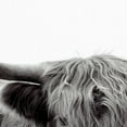 thumbnail image 4 of Highland Haze by Bill Phillip Highland Bull Canvas Art, 4 of 5