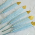 thumbnail image 3 of BalsaCircle 30 Blue 5" Glittered Gold Tip Natural Decorations Turkey Feathers Decorations, 3 of 6