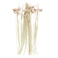 thumbnail image 6 of 49" Tall Dried Plant Natural Foliage Bouquet with Pink Petals, by DecMode, 6 of 9