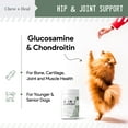 thumbnail image 6 of Chew + Heal All in 1 Dog Multivitamin (120 Soft Chews) Supplements for Skin, Coat, Hip and Joint Support, 6 of 7