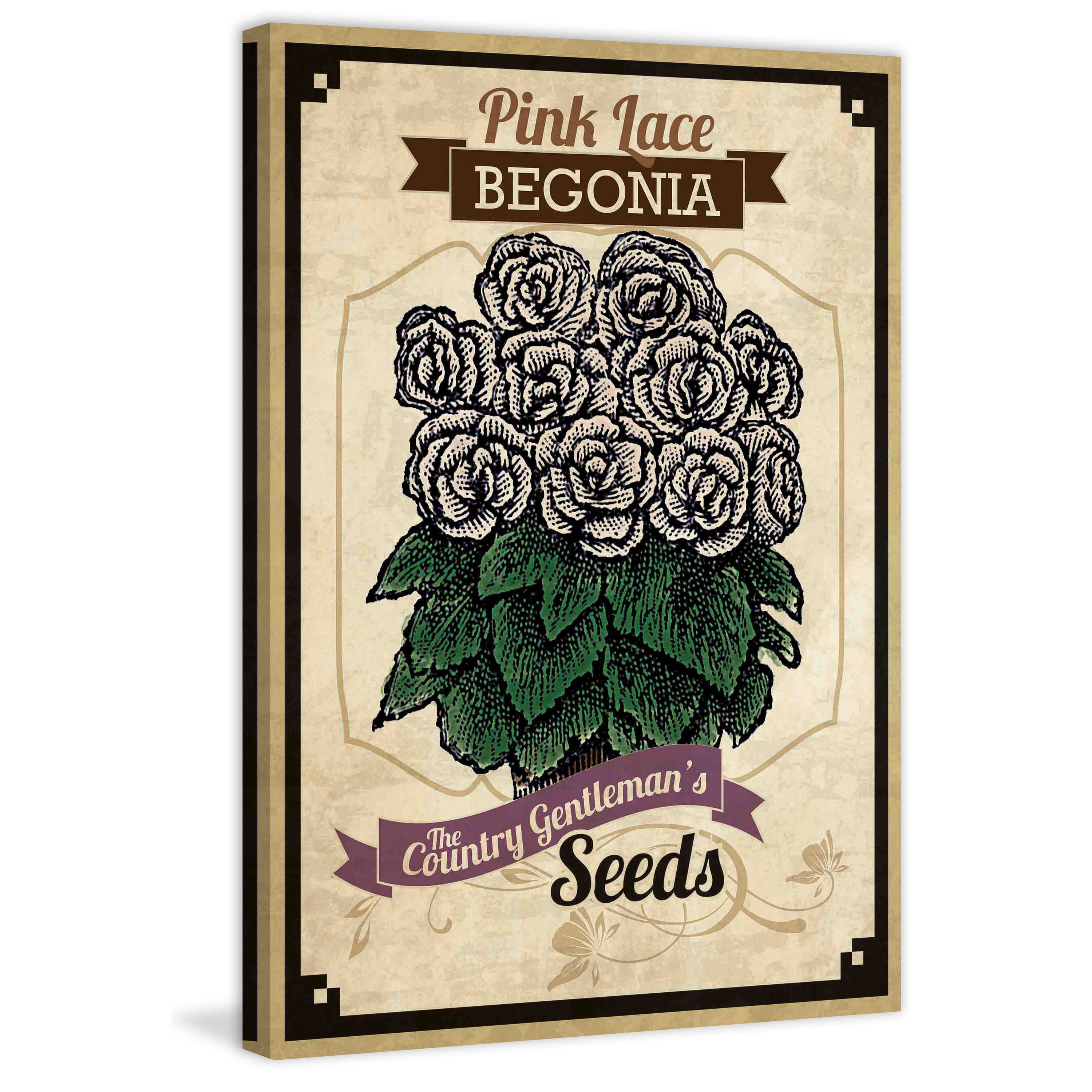 "Flower Packet Begonia" Painting Print on Canvas