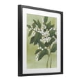 thumbnail image 2 of Stupell Industries French Country Verdant Branch Bloom Black Framed Print Under Glass, 13 x 16, by June Erica Vess, 2 of 8